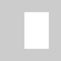 same as above but the rectangle is white